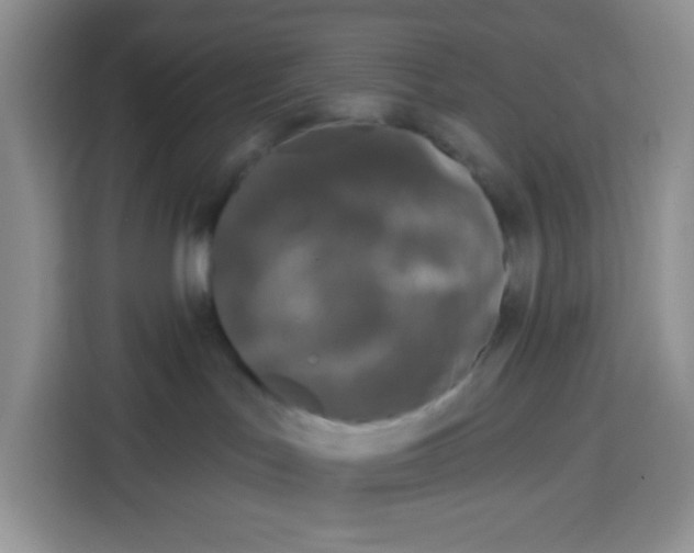 X0000115160047200911241558