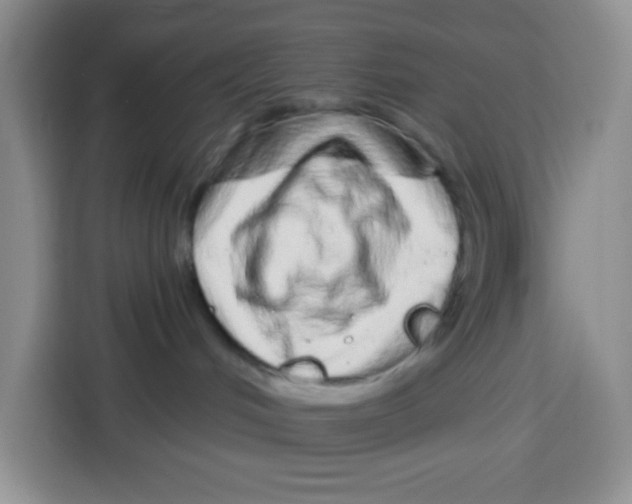 X0000115160048200911241557