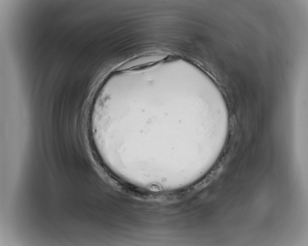 X0000115160049200911241557