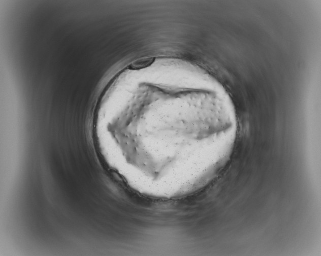 X0000115160051200911241557