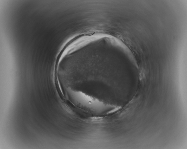 X0000115160052200911241557