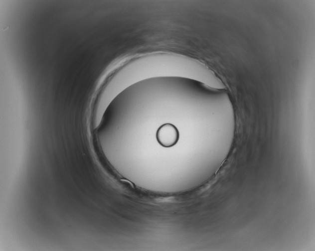 X0000115160054200911241557