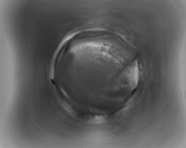 X0000115160056200911241557