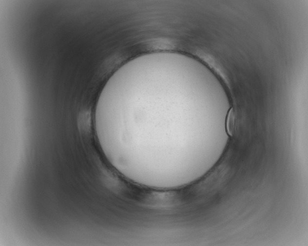 X0000115160057200911241557