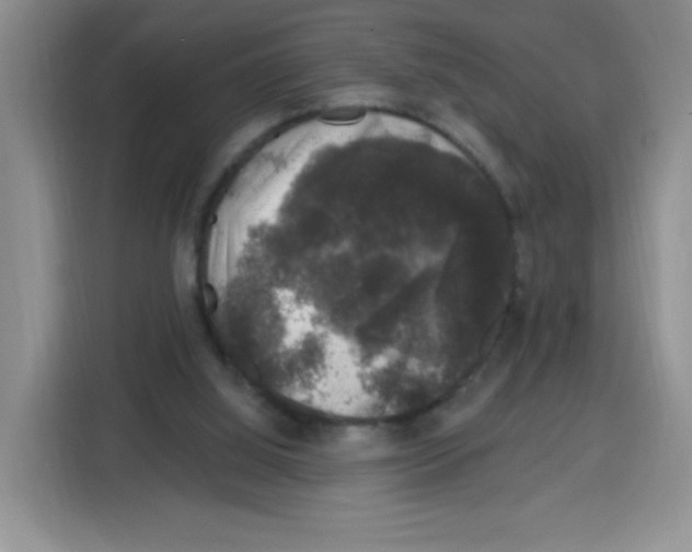 X0000115160060200911241557