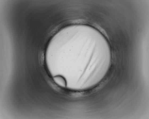 X0000115160061200911241557