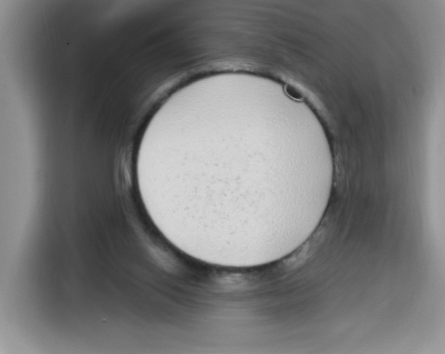 X0000115160062200911241557