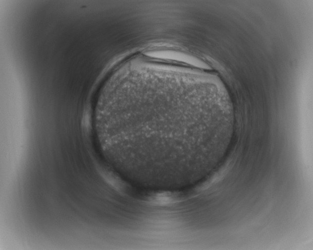 X0000115160064200911241557