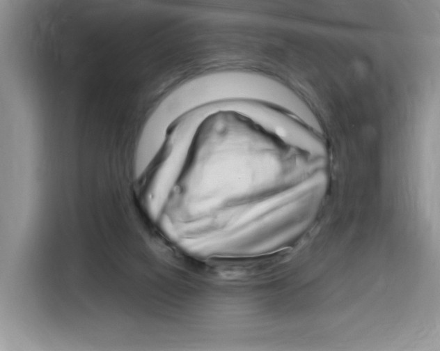 X0000115160066200911241557