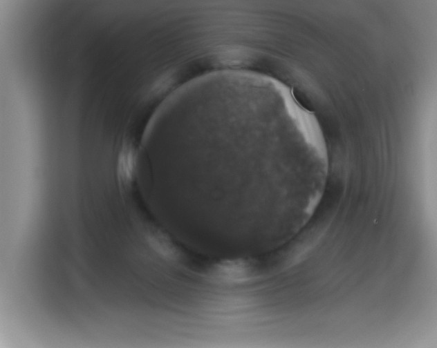 X0000115160076200911241557