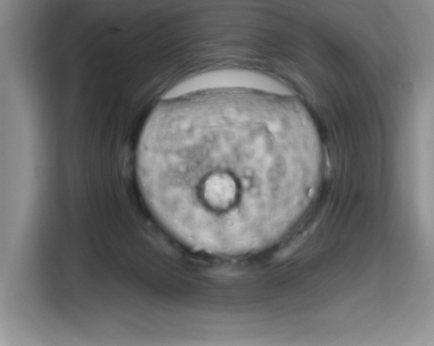 X0000115160077200911241557