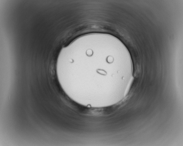 X0000115160078200911241557