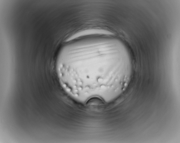 X0000115160081200911241557