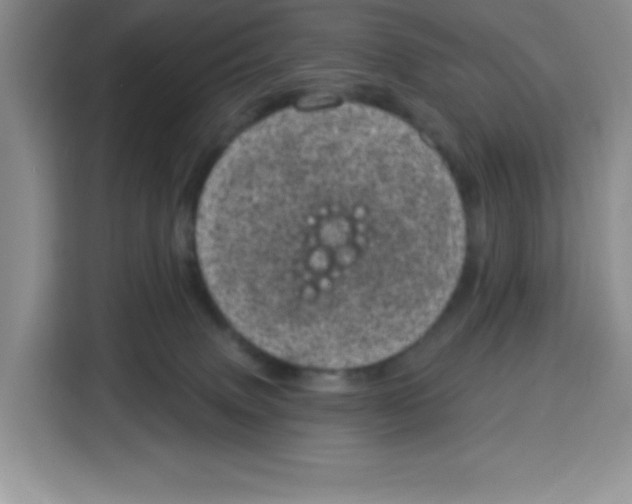 X0000115160083200911241557