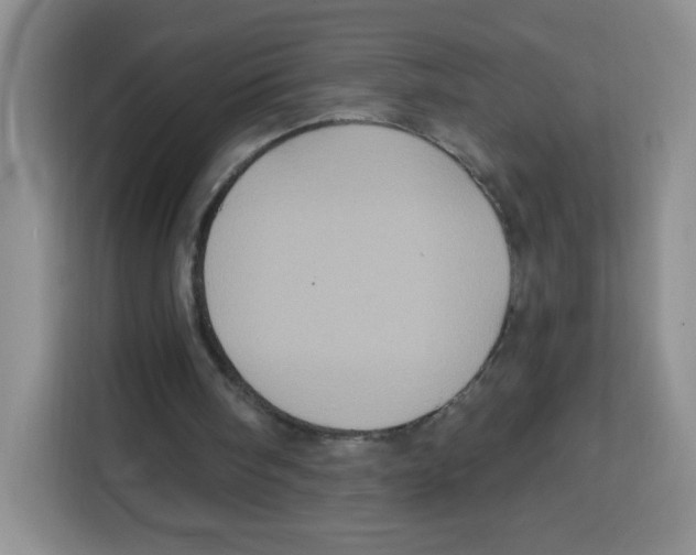 X0000115160098200911241557