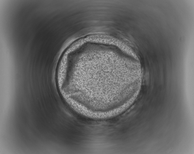 X0000115160099200911241557