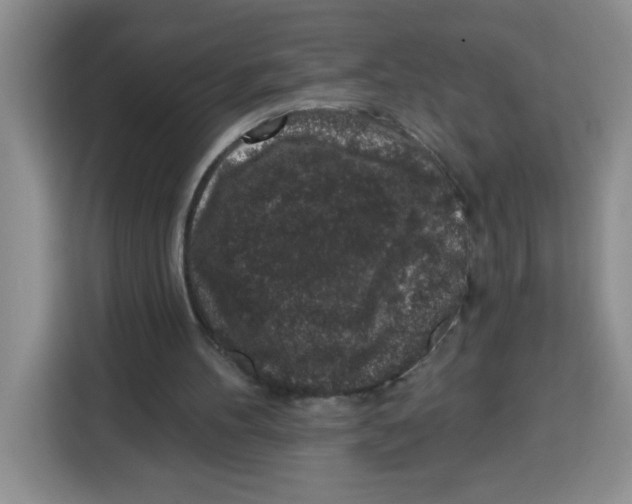 X0000115160100200911241557