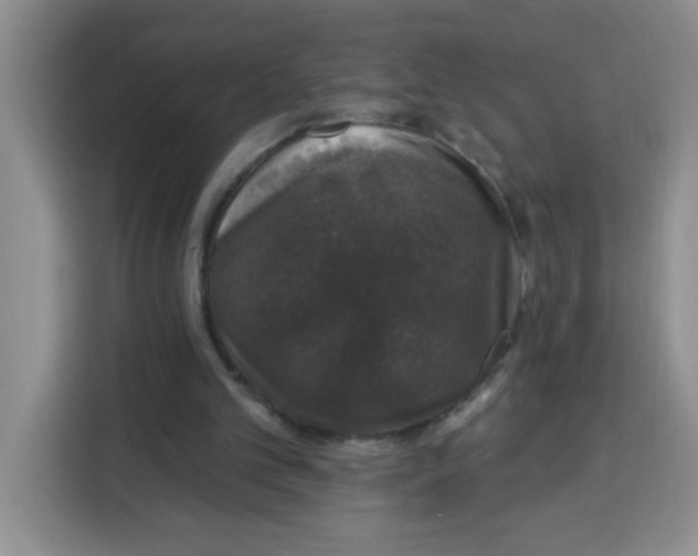 X0000115160101200911241557