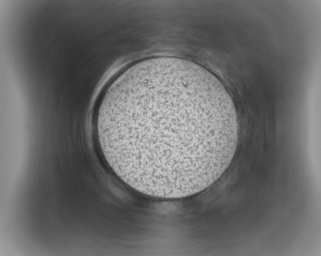 X0000115160102200911241557