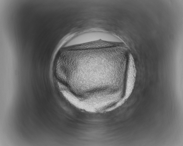 X0000115160104200911241557