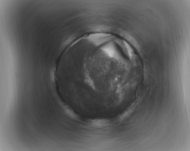 X0000115160105200911241557