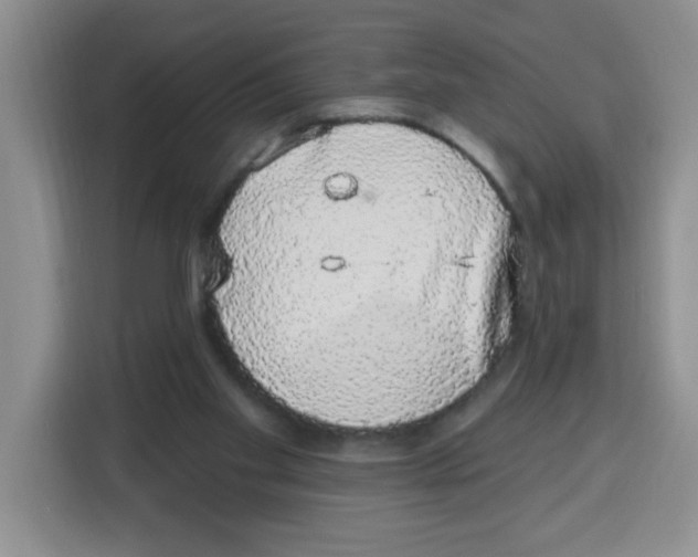 X0000115160109200911241557