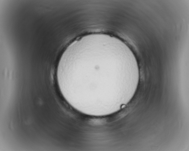 X0000115160115200911241557