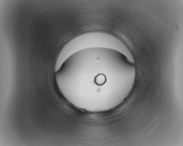 X0000115160117200911241557