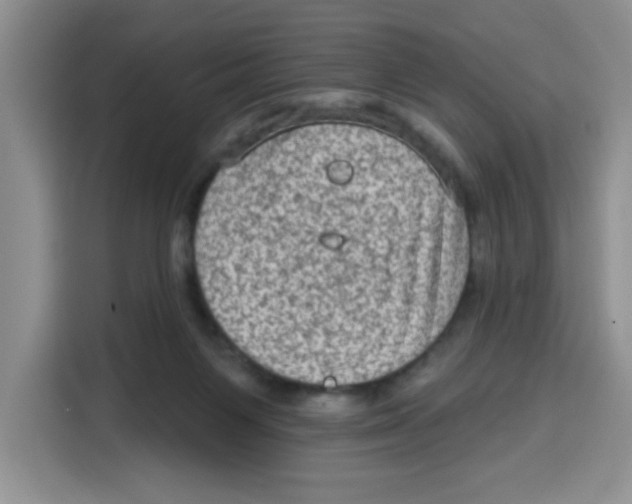 X0000115160119200911241557