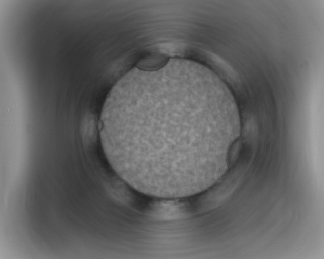 X0000115160121200911241557