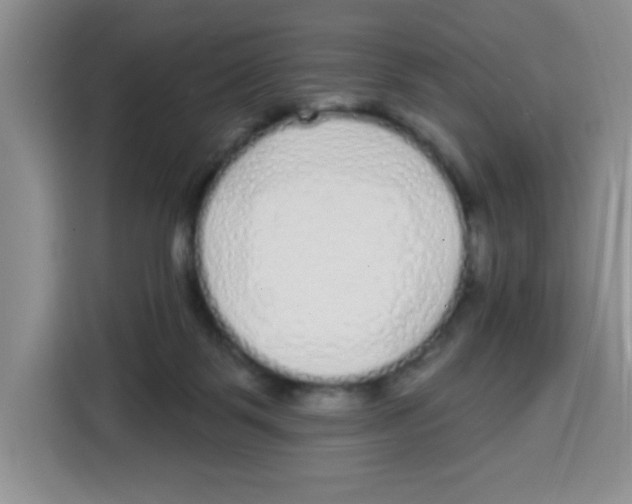 X0000115160123200911241557