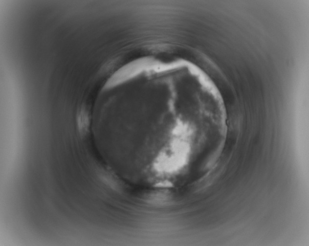 X0000115160124200911241557