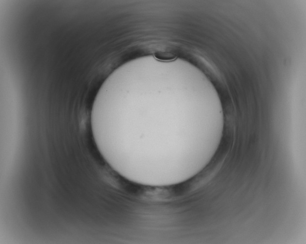 X0000115160125200911241556