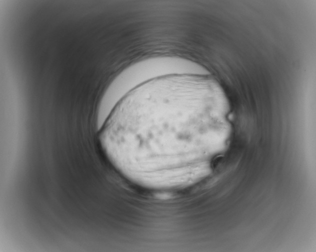 X0000115160131200911241556