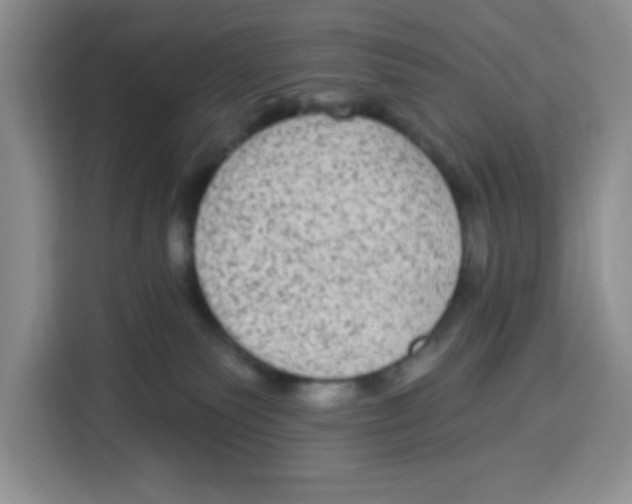 X0000115160135200911241556