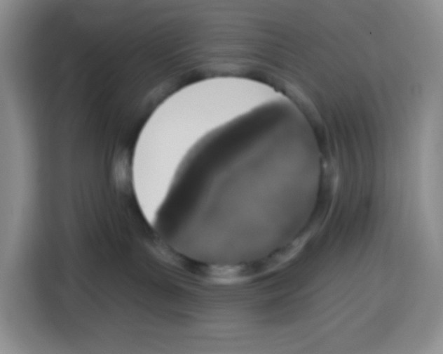 X0000115160143200911241556