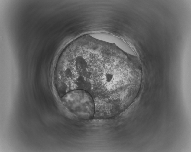 X0000115160145200911241556