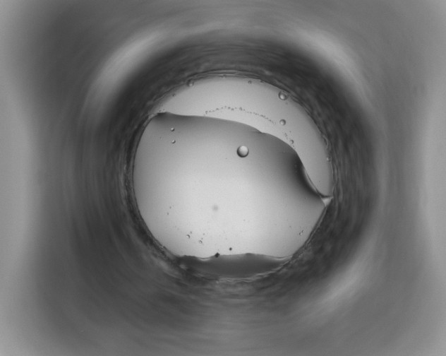 X0000115160146200911241556