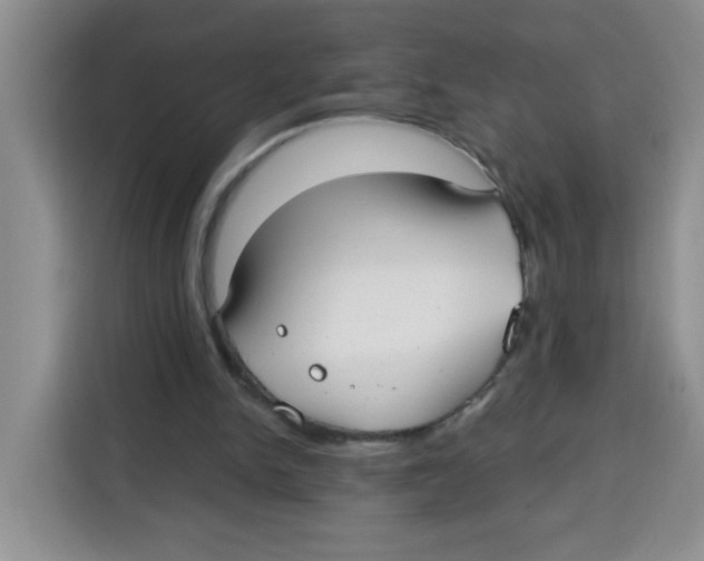 X0000115160150200911241556