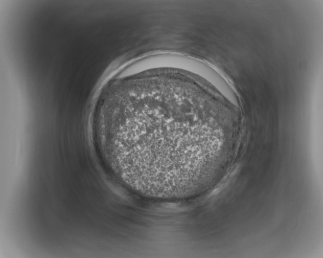 X0000115160151200911241556