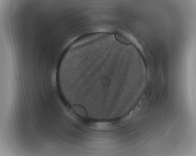 X0000115160154200911241556