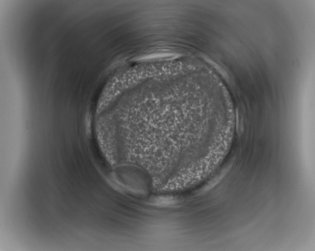 X0000115160157200911241556