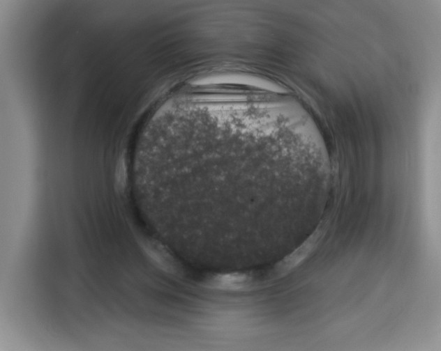 X0000115160158200911241556