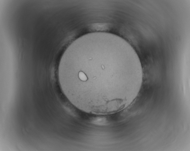 X0000115160162200911241556