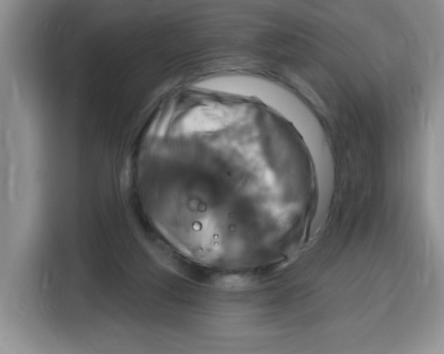 X0000115160163200911241556