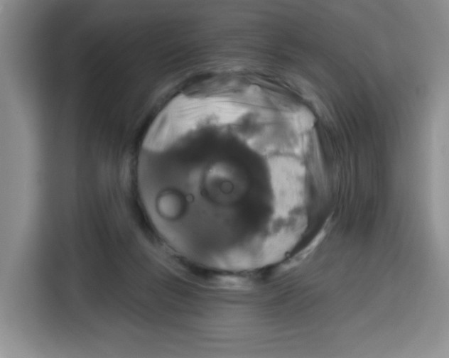 X0000115160167200911241556