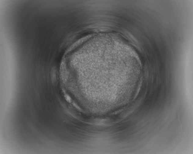 X0000115160169200911241556