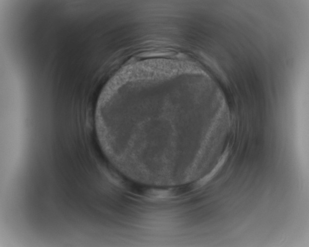 X0000115160170200911241556