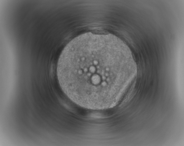 X0000115160171200911241556