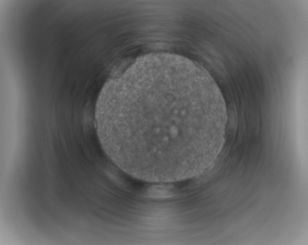 X0000115160179200911241556